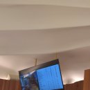 고래관광나이트 | 스페인/바르셀로나┃자유여행 가우디 투어 ② Casa Batlló 까사 바트요 - 매직 나이트 후기🌃