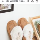 다이소 어그 거실화 외출화로 ㅂㄹ?? 이미지