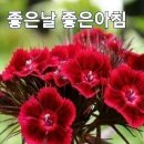 가위춤 이미지