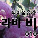 하우스콜 이미지