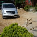 내기초 신영분교 이미지