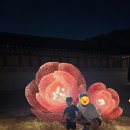 화성행궁 달빛화담 야간개장 밤 산책 다녀오세요~너무 좋아요💛