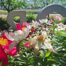 팔영경로당 이미지