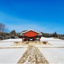 수원-0354 | 🏛️ 왕의 숨결이 느껴지는 화성 융건릉, 조선의 역사를 만나다 💖