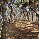 [인천,등산] 가현산 등산! 버스주차장-세자봉-정상-원점 후기!