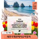 이마트24 태안미래점 | 2026 태안국제원예치유박람회 "일상의 쉼표가 필요한" 당신을 위한 봄날의 초대
