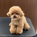 원도안로-16 이미지