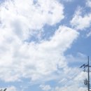 느릅나무가든 이미지