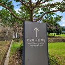 용장사석불좌상 이미지