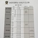 중앙인더스피아 골프클럽 이미지