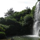 진 약국 이미지