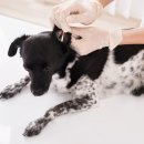 한마음종합동물병원 이미지