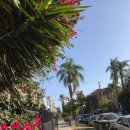 루나 하우스(Luna House) 이미지