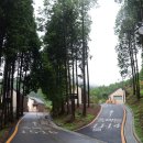 사천대교 부근