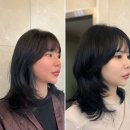 헤어마법사 이미지