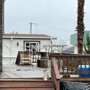 느긋하귀 이미지