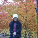 천둥산 이미지