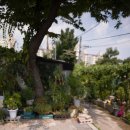 용산-167 이미지