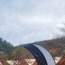 양양포레스트캠핑장 1박 2일 캠핑 후기