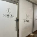 동탄 1인샵 두피관리 H.리셀 탈모 순환관리 후기