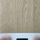 양(배추)샐(러드) 완전 추천