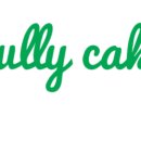 풀리케이크(fully cake)