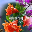 행복하면 이미지