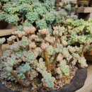 창내리 쉼터 이미지