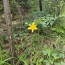 사람과 도시 행정사사무소 | 여부] 재개발재건축전문 법무법인 시율 사람과도시행정사사무소 재건축 등 정비구역 내 부동산 매매 등...