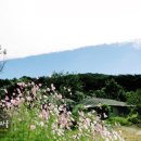 장은4리마을회관 이미지