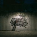 이길래 생성과응집 이미지