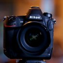 올빼미PC | 여전히 현역인 니콘 D6 DSLR 추천 누구한테?