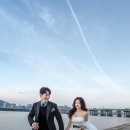레이디로즈스튜디오