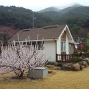 (주) 지닌 이미지