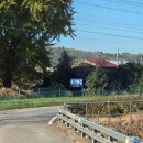 풍전 | 풍자 또간집 풍전뚝집 풍전어죽 내돈내산 오픈런 후기 글쎄...?