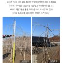 수양시장 이미지