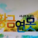 젊은추억