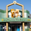 포항축산농협 축산물프라자 장량점 네이버블로그