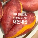내가 요즘 빠져있는 고구마 맛집 &#34;언니의입맛&#34; 단호박맛 당근고구마 내돈내산 후기 광고X