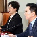 김기현 카카오 검색결과