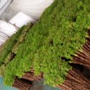 두름농장 이미지