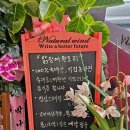 닭장애웬오리청주