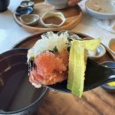도우또 성수 | 서울숲맛집 일식 가츠동맛집 도우또 성수 내돈내산 솔직 후기