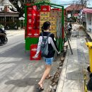 더문 | 티켓투더문 백팩 후기, 발리 아이콘발리 매장 가격 정보 한눈에