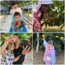 봉기농장 이미지