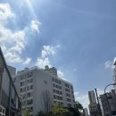 올가드림뷰티강일점