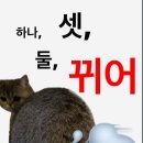 더오월