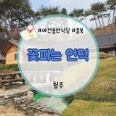 충북 닭요리 맛집 1티어 대존맛의 진수 꽃피는언덕