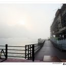 홍도엘도라도 이미지