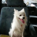 상봉2동 (5) 이미지